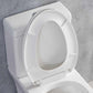 ELLAI Elongated Two Pieces Toilets with Comfortable Chair Seat Height ADA 17" and soft-closing seat, Dual Power Flush Toilet 1.1/1.6 GPF, 12'' Rough In, Top Chrome Button, White