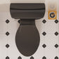 ELLAI Two Piece Elongated Toilets ADA Chair Comfort Height 16.5" Powerful Single Flush 1.28 GPF 12” Rough In with Side Trip Lever, Glossy Black 28.3"x17.2“x31"